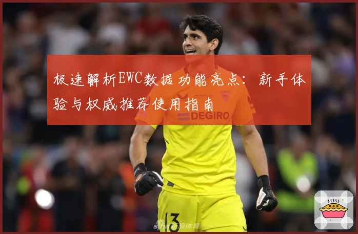 极速解析EWC数据功能亮点：新手体验与权威推荐使用指南