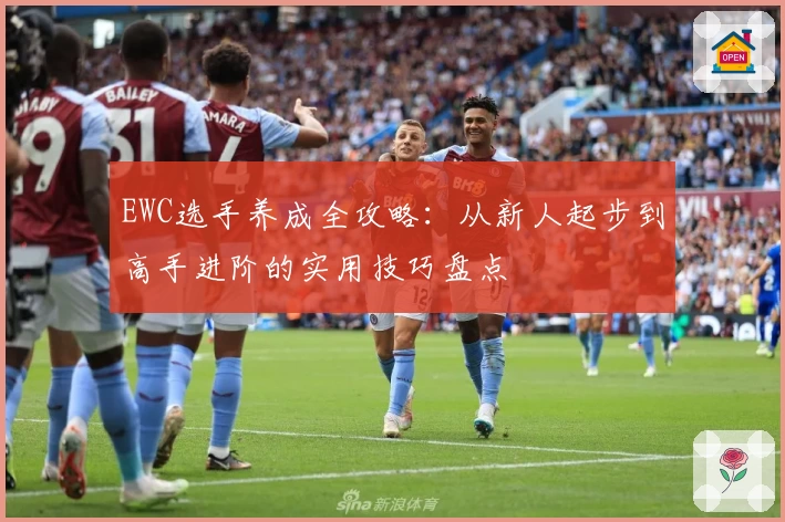 EWC选手养成全攻略：从新人起步到高手进阶的实用技巧盘点